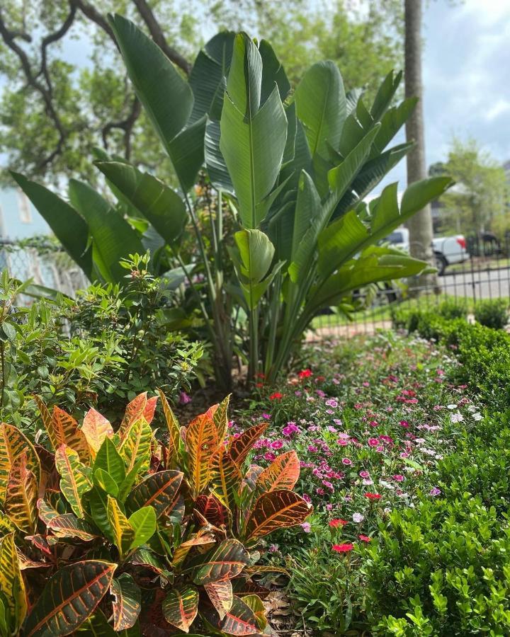 גלווסטון Coppersmith Inn Bed And Breakfast מראה חיצוני תמונה